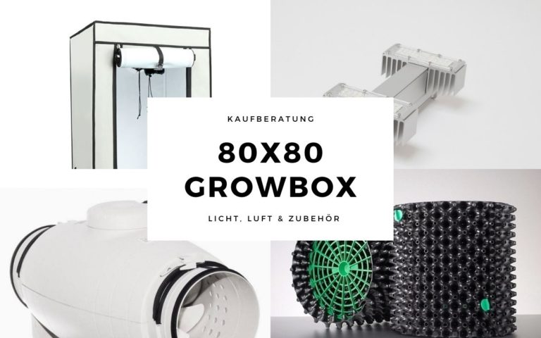 Growbox 80x80cm: Kaufberatung für Beleuchtung, Belüftung und Zubehör
