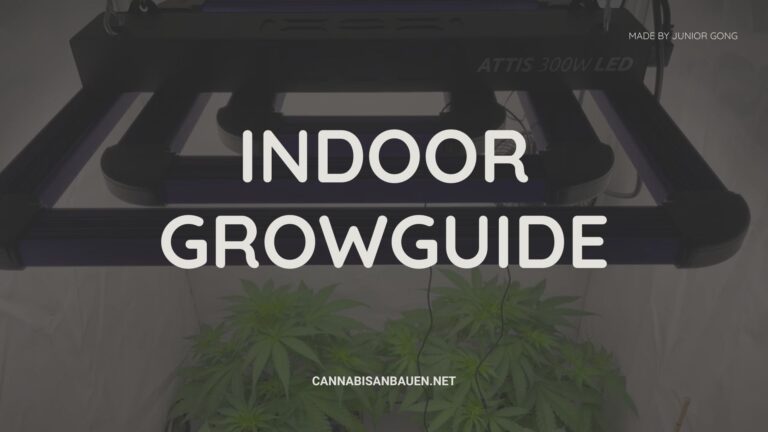 Indoor Growguide – 2025