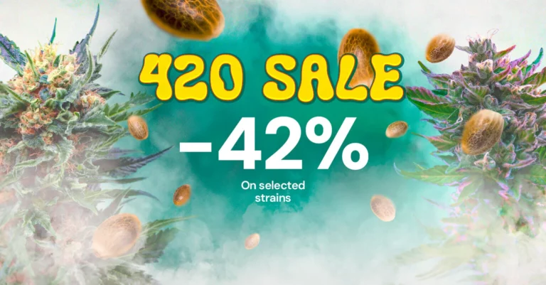RoyalQueenSeeds.de: 42% auf ausgewählte Sorten! Bspw. Royal Kush Auto (3 Stück) für 12,47€ anstatt 21,50€
